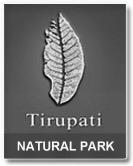 tirupati-natural-park-logo